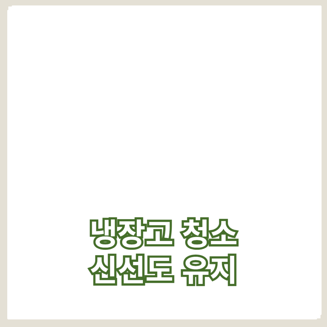 냉장고 청소와 신선도 유지, 냉동실 활용 팁