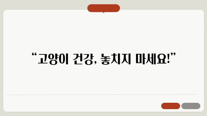 고양이 만성 신부전 초기 증상 알아보기, 놓치지 마세요