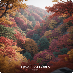 화담숲·모노레일 예약 취소방법·취소표 잡는 방법·입장료 이미지