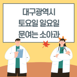 대구 토요일 일요일 소아과 진료 병원 리스트