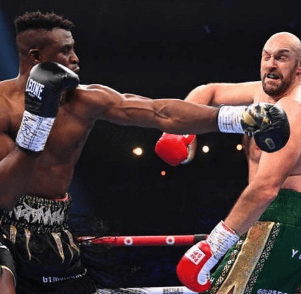 은가누 퓨리 경기 장면