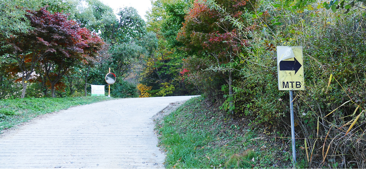 2025 증평인삼골축제&amp;#44;인삼 체험 축제