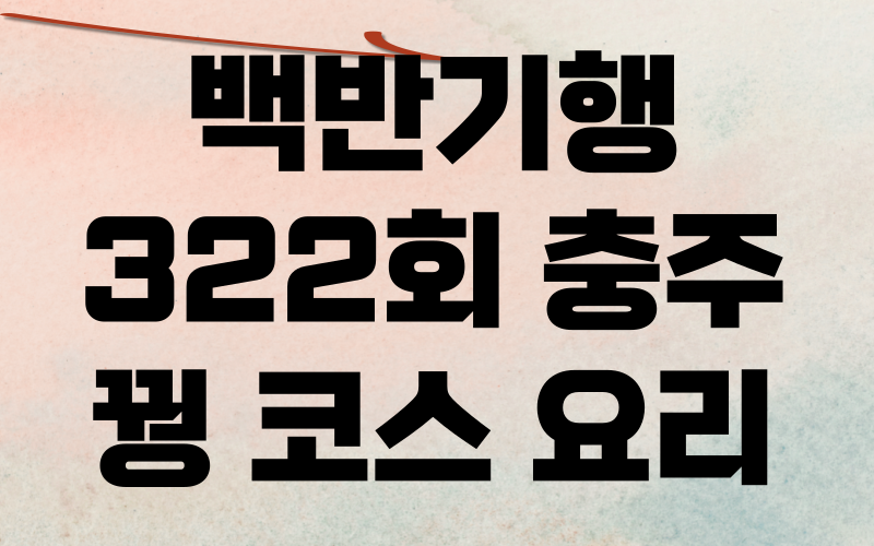 백반기행 충주 꿩코스요리 최자