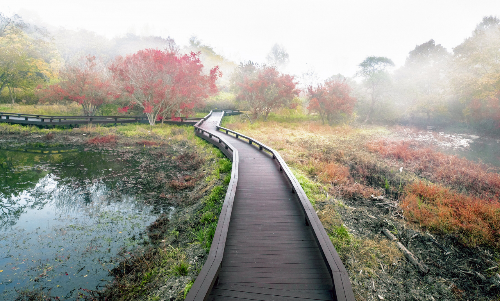 전북 겨울 명소 추천, 설경·자연·트레킹 BEST 4