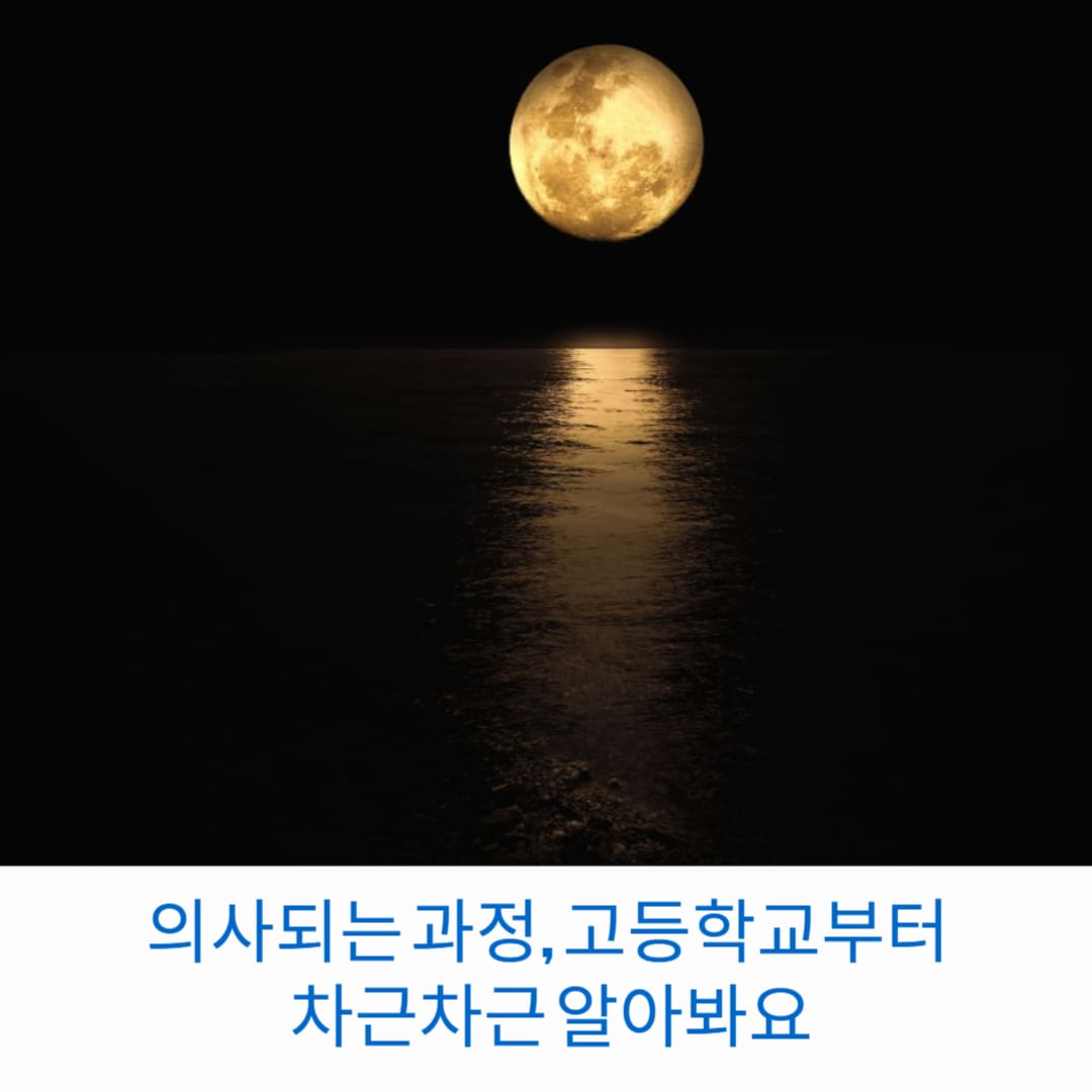 의사되는-과정-고등학교부터-차근차근-알아봐요-썸네일
