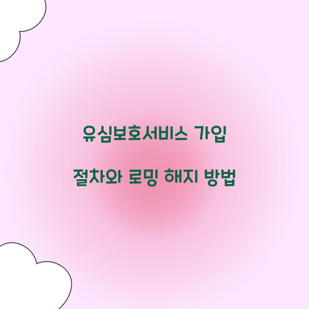 유심보호서비스 가입