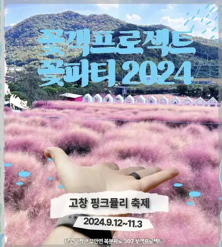 고창 핑크뮬리 축제 꽃객 프로젝트_1