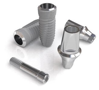 임플란트 시스템 부문