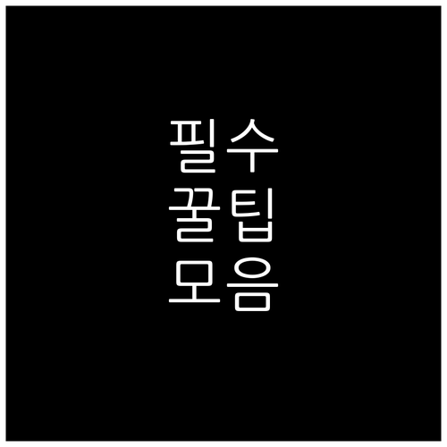인사동 깨끗하게! 일반 쓰레기부터 재..