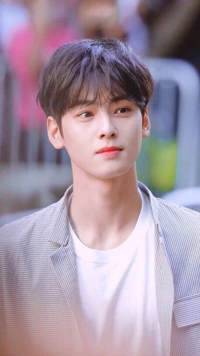 차은우 조세심판 청구 이유: 국세청 130억 세금 완납, 연예인 1인 기획사 실질과세 쟁점 정밀 분석
