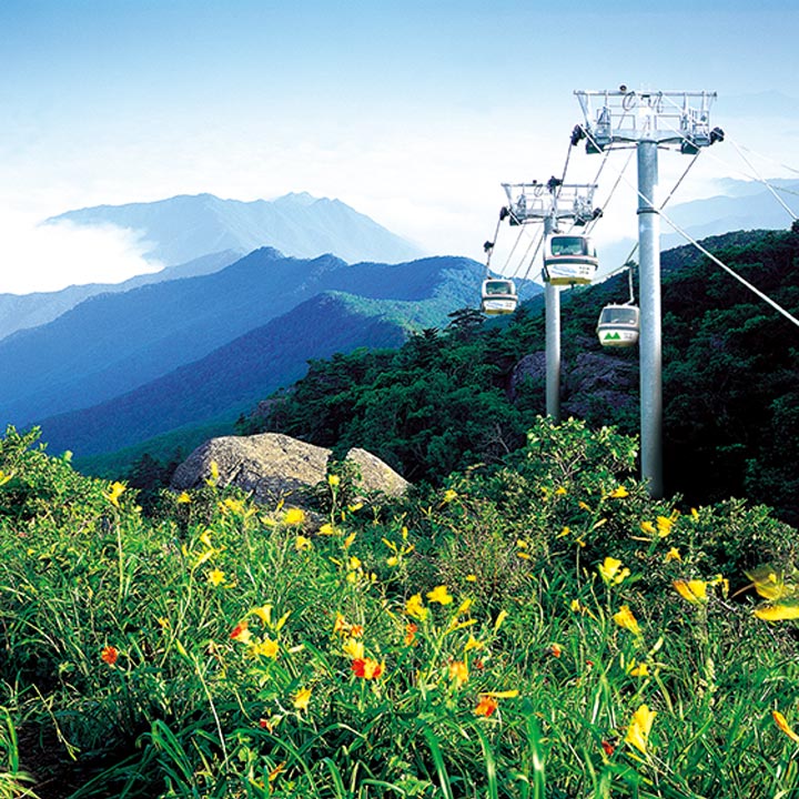 덕유산 곤도라 요금