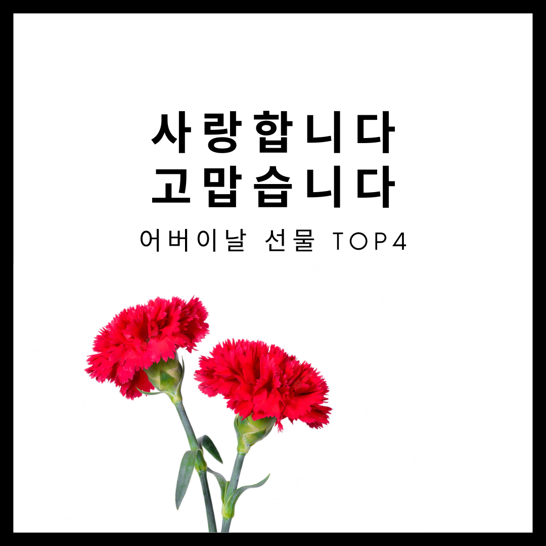 어버이날 선물