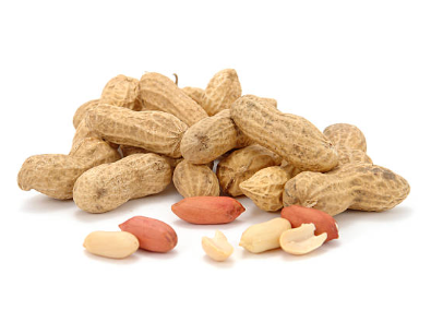 땅콩