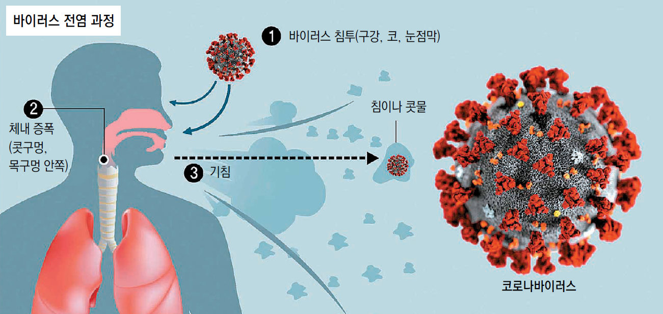 코로나19 변이(BA.2.86) 돌연변이 30개 더 많다