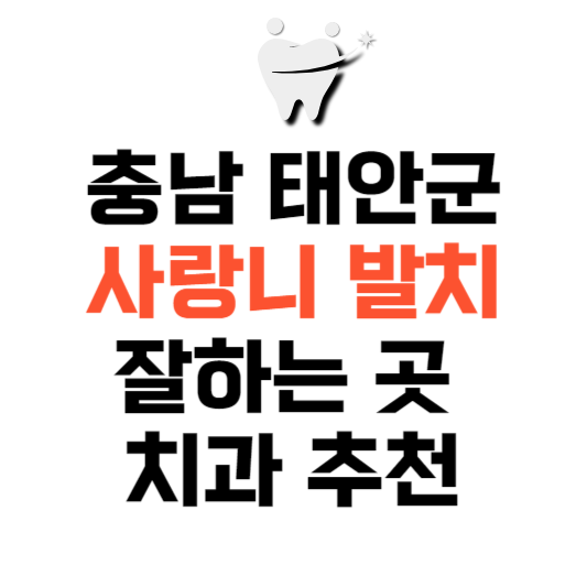 충남 태안군 사랑니 치과 발치 잘하는 곳 추천 매복 가격 비용.png