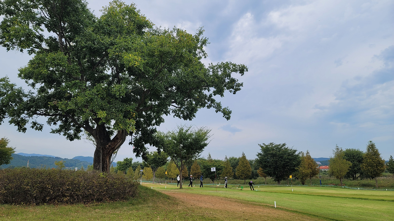 경상남도 합천군파크골프장 소개