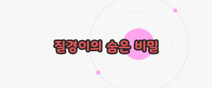 질경이 효능 이제 하나씩 확인해보죠