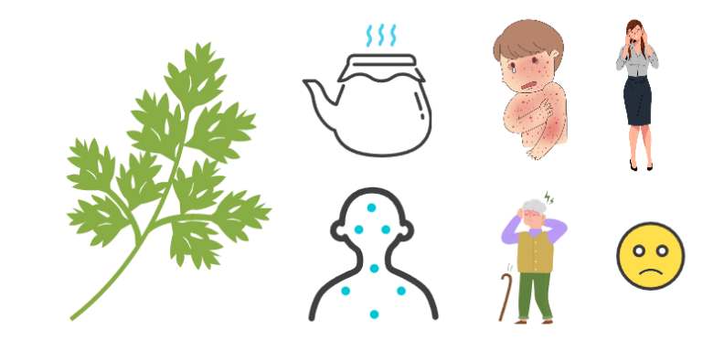 쑥 피부병 알러지 황달