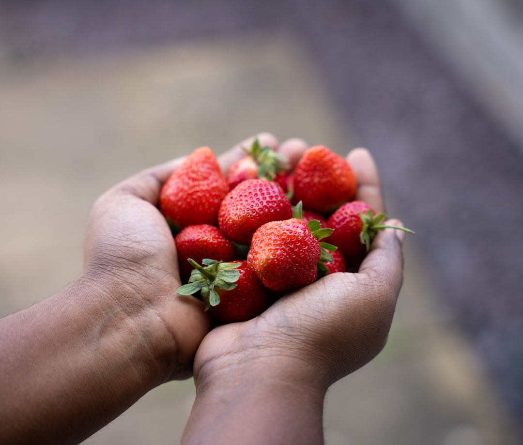 Seasonal food