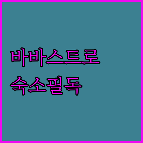 스페인 바바스트로 자유여행 숙소 위치..