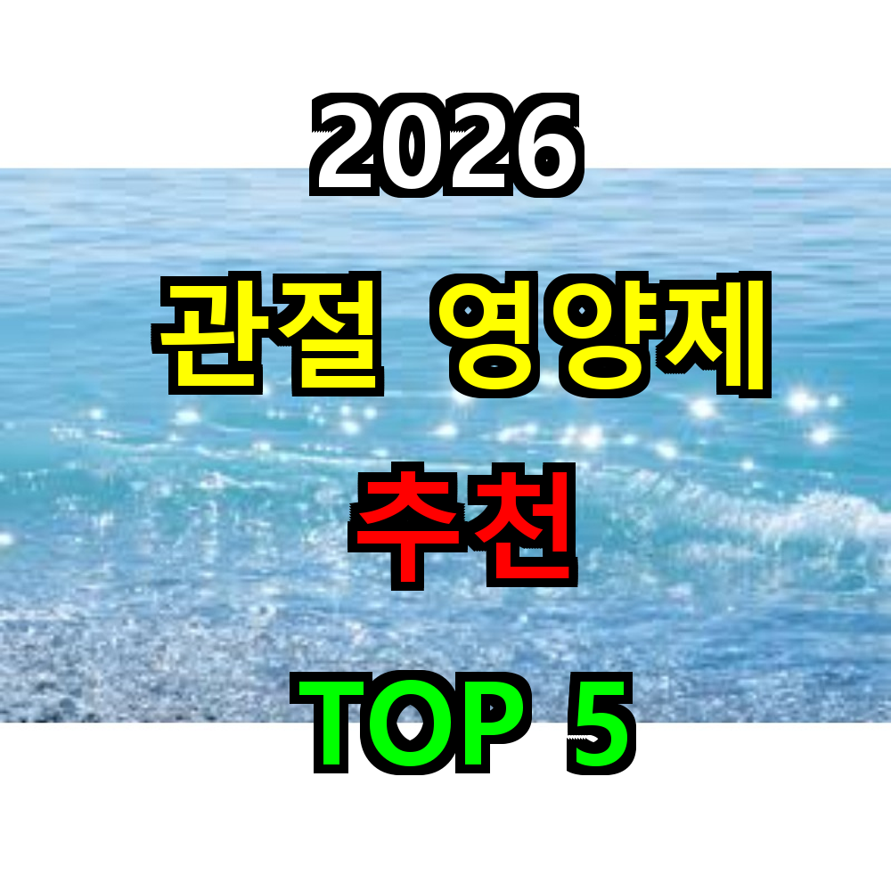 2026 관절 영양제 추천 TOP 5