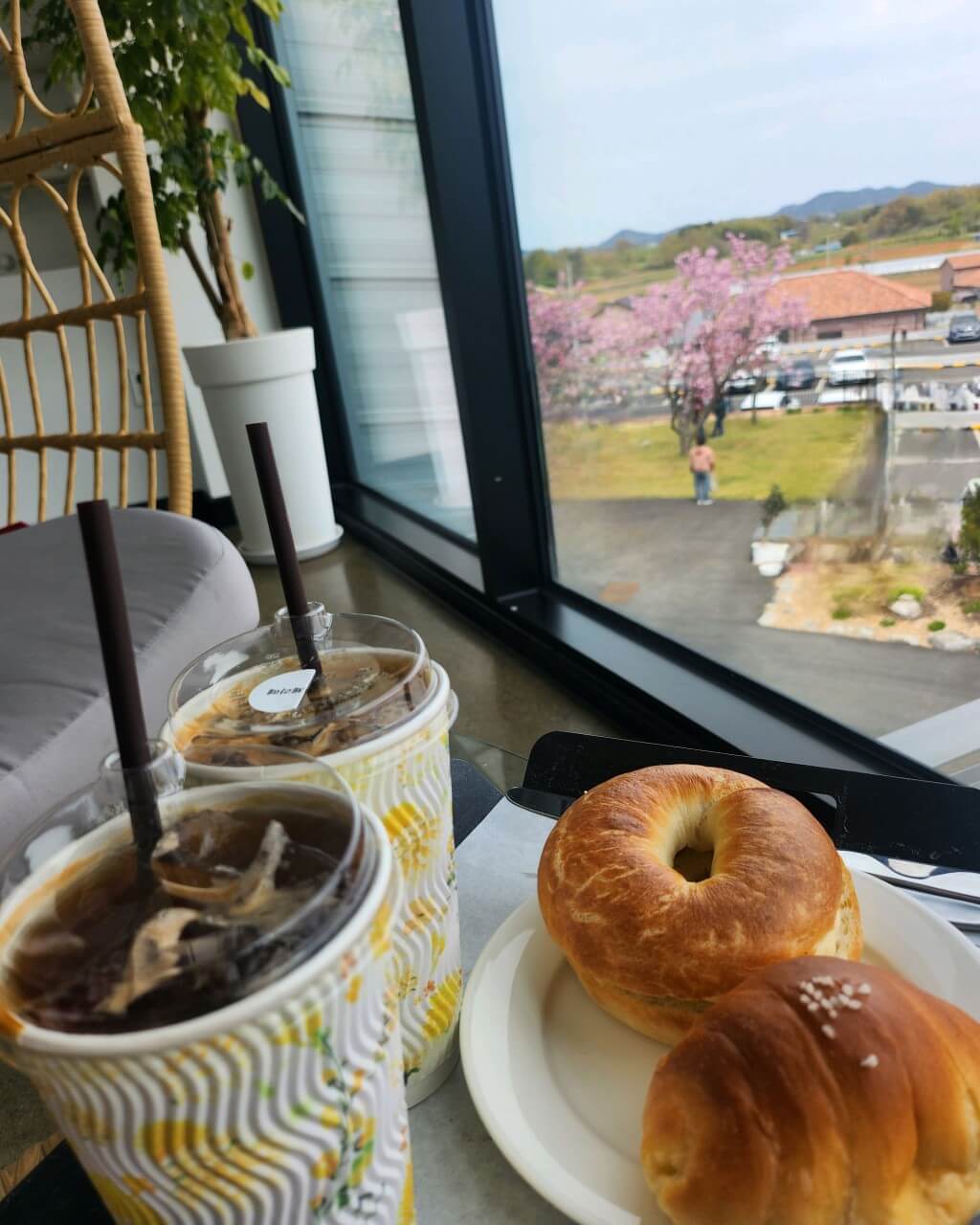 생생정보 미스터 Lee의 사진 한 컷 충남 서산 카페 힐링명소 서산목장카페 생생정보 2295회