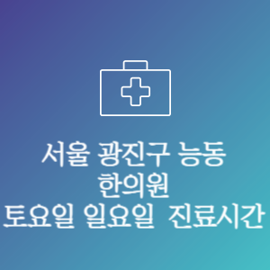 서울 광진구 능동 한의원 주말 토요일 일요일 문여는 병원 진료시간