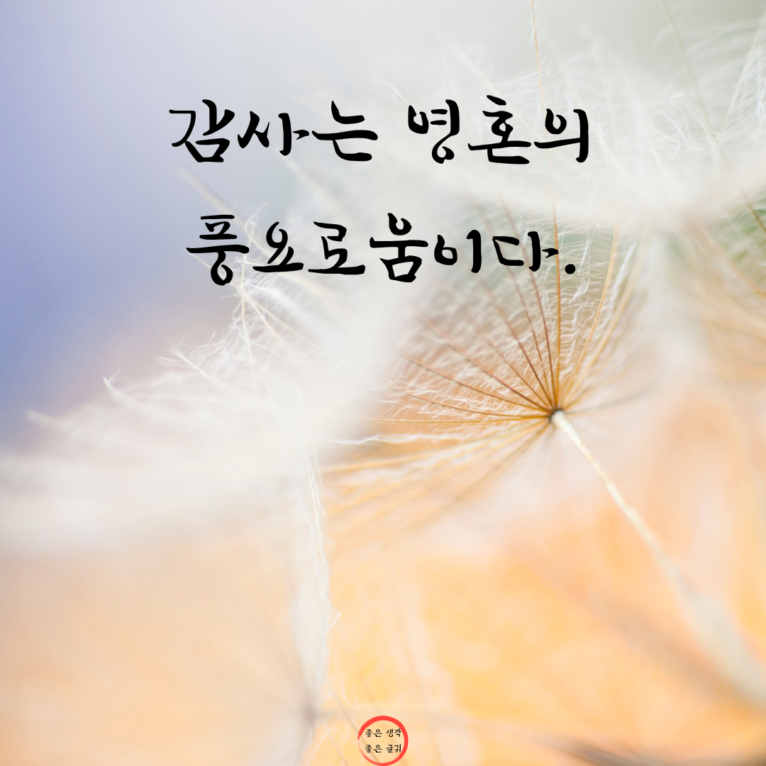 짧고 좋은 글귀 인생 명언 모음 이미지