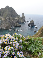 독도의 날 유래 3