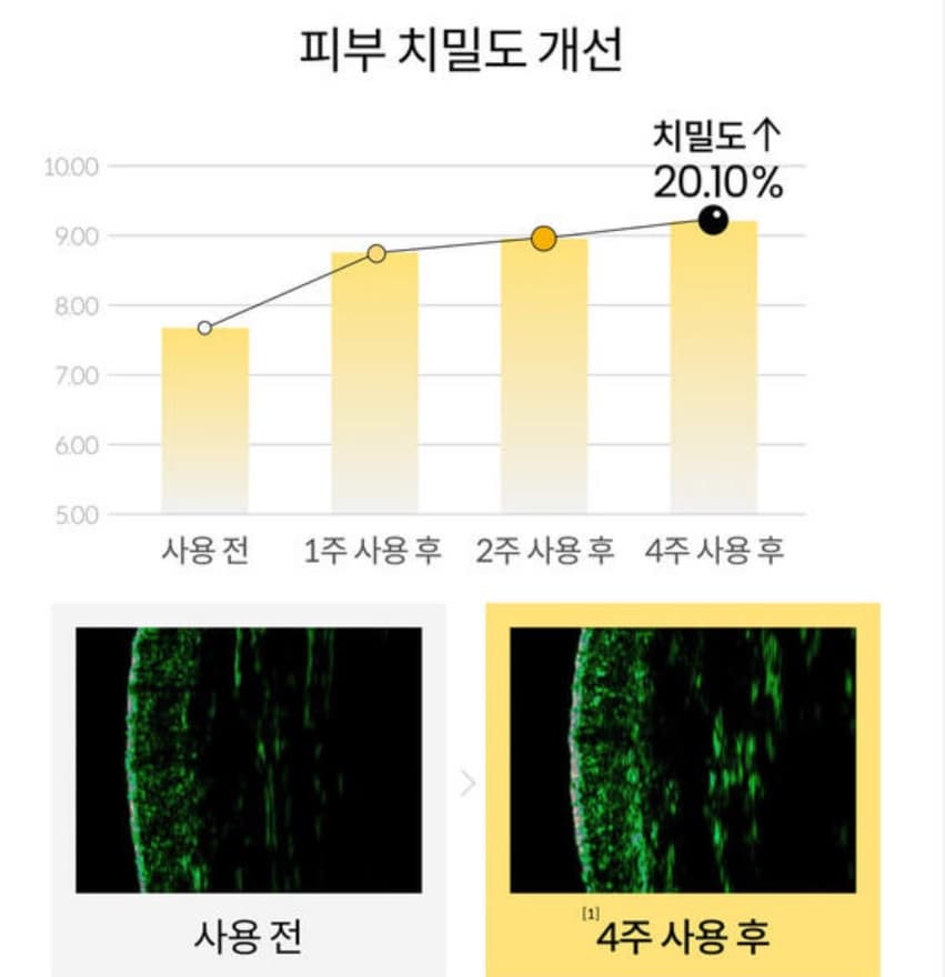 피부치밀도개선