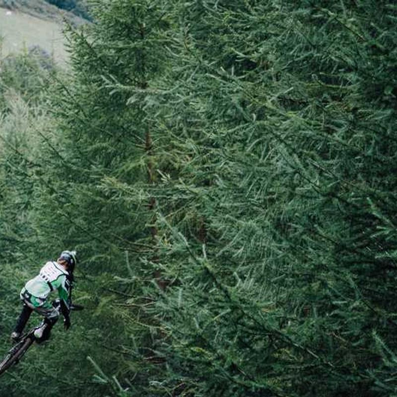 운전면허 갱신-신청