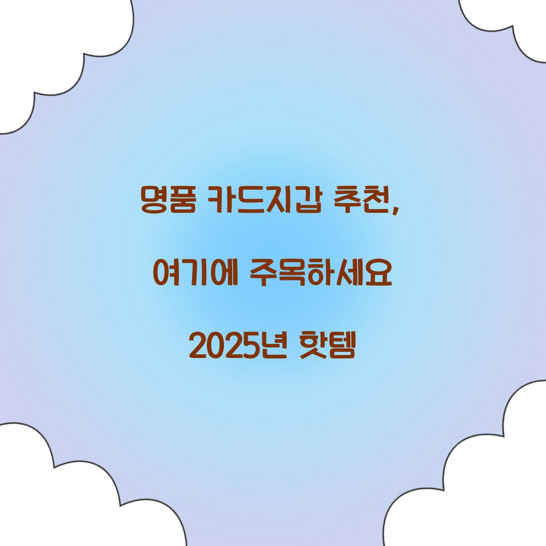명품 카드지갑 추천