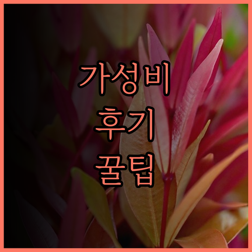 아우레아 딜라이트 호텔, 센트럴 마켓