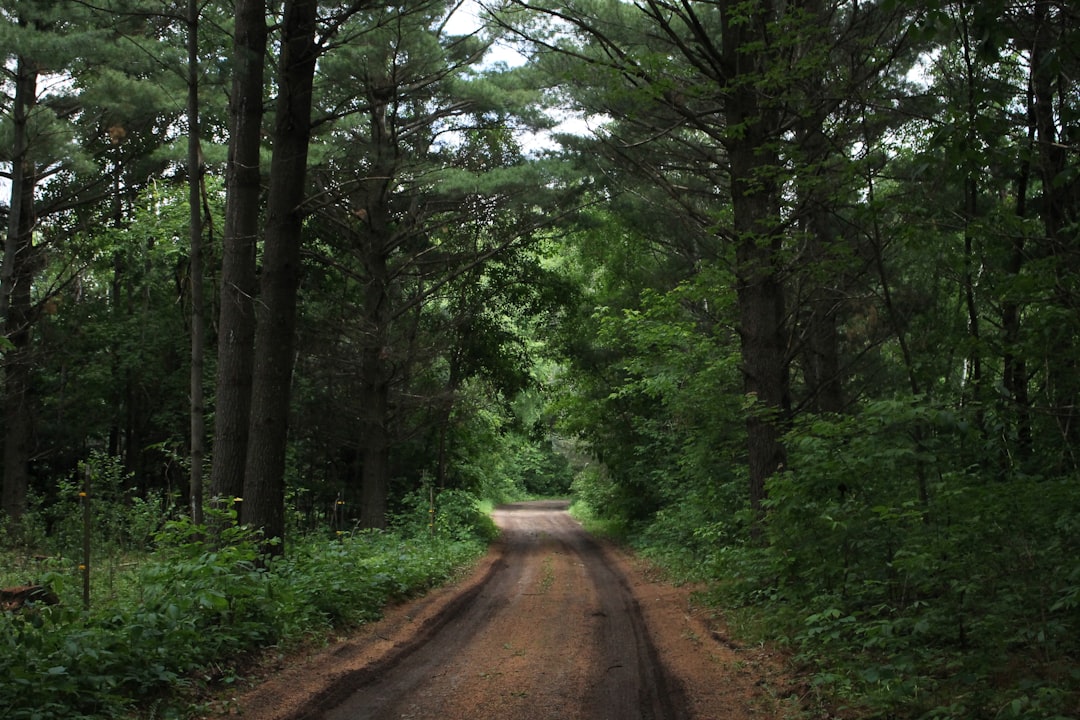 Short track