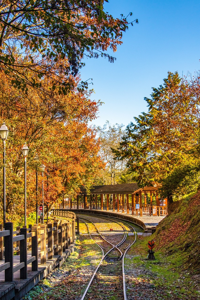 아리산 국립풍경구