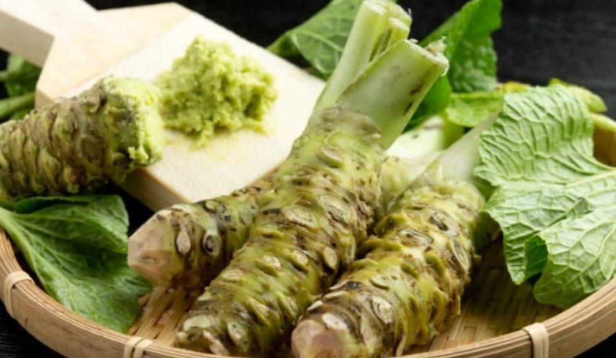 진짜 와사비, 드셔보셨나요?