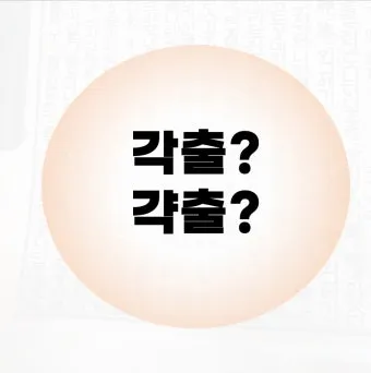 갹출 뜻 각출과 갹출 각출 비교_5