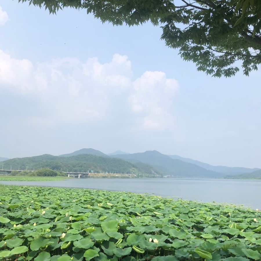 두물머리