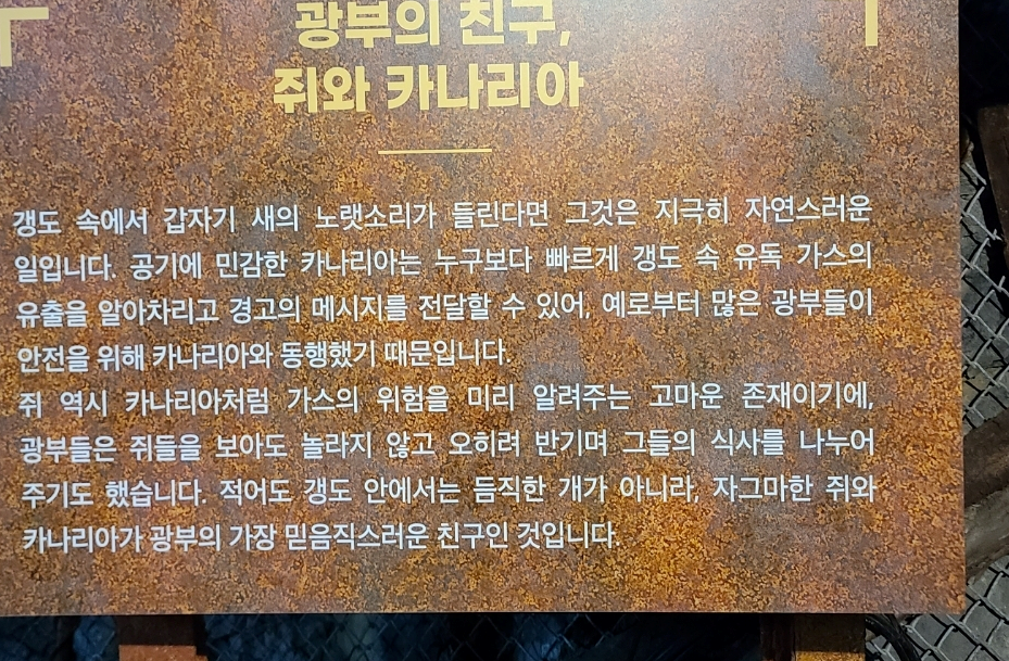 광부의 친구