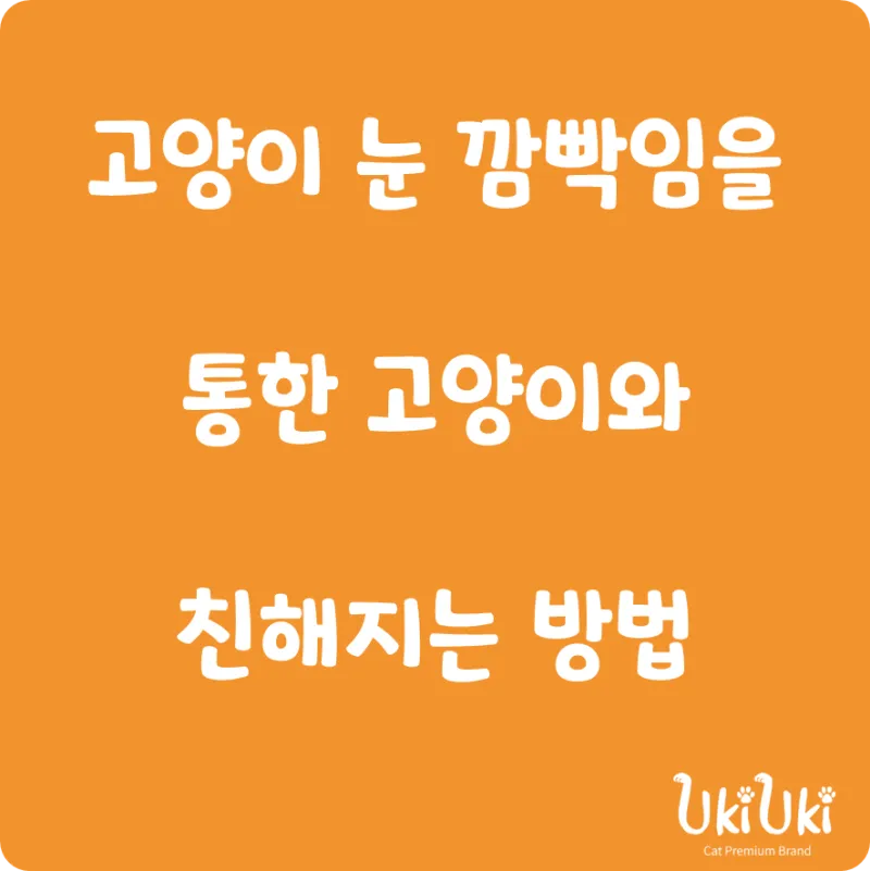 "고양이