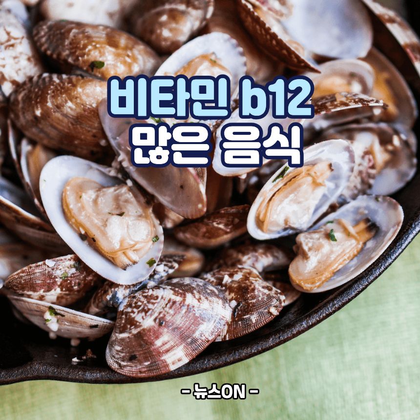 비타민 B12가 많은 음식