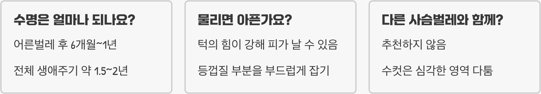 홍다리사슴벌레 키우기 방법부터 먹이, 사육장 세팅까지 완벽 가이드