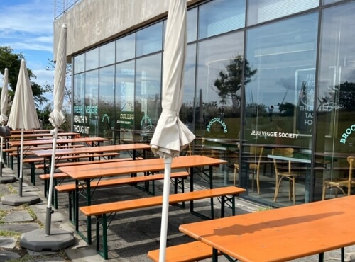 제주 반려동물 동반여행 구팔일 댕댕이 레이싱