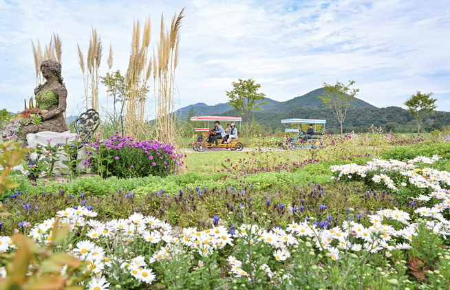 한탄강 생태경관단지 이미지