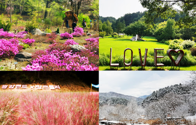 포천 평강랜드 완벽 가이드