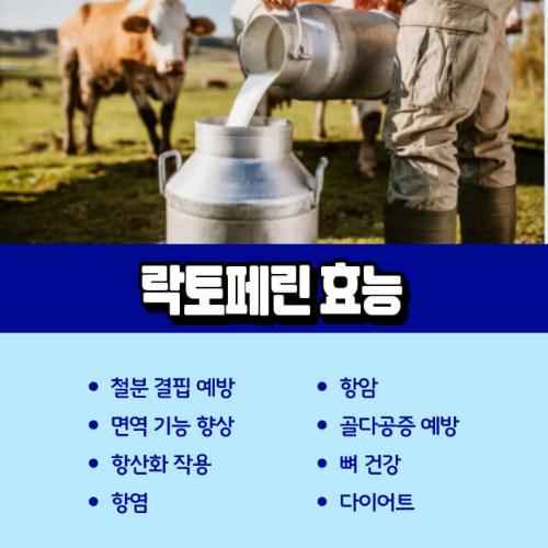 락토페린_효능