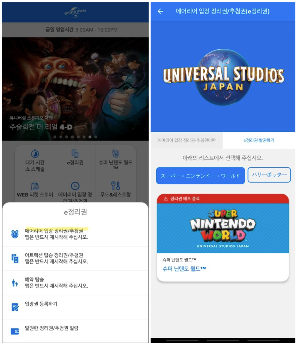 에어리이 입장 정리권