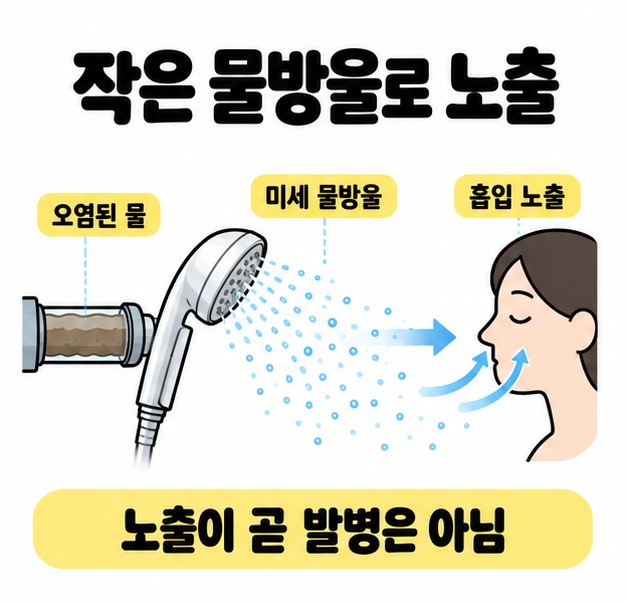 오염된 물이 샤워기에서 미세 물방울로 퍼져 호흡기로 흡입될 수 있는 경로와 노출이 곧 발병은 아니라는 안내가 있다.