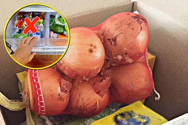 양파 냉장고 보관, 팁줌