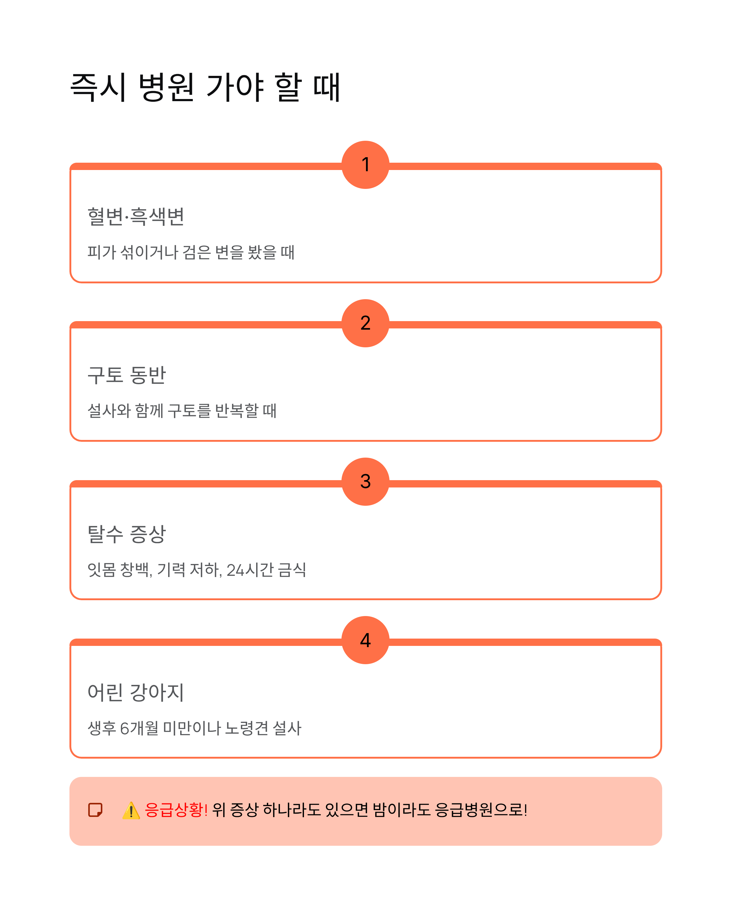 강아지 설사 🐕 원인·증상·대처법 총정리! 언제 병원 가야 할까?